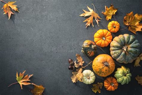 Thanksgiving Day Pumpkin Background