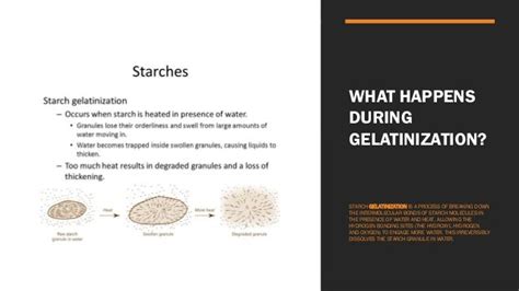 Pregelatinized starch