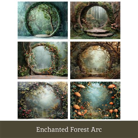 12x Enchanted Forest Backdrop Forest Jungle Arc Path Digital ...