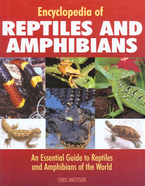 Encyclopedia Of Reptiles And Amphibians By Hall Derek 9781840137941