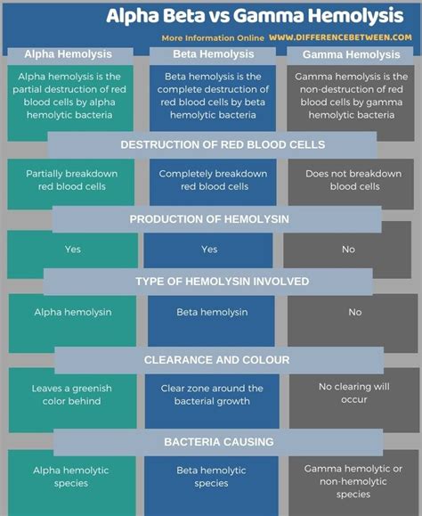 Difference Between Alpha Beta and Gamma Hemolysis | Compare the ...