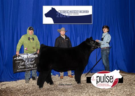 Madison Co Classic Beef Show Top 5 Market Steers Ring B The Pulse