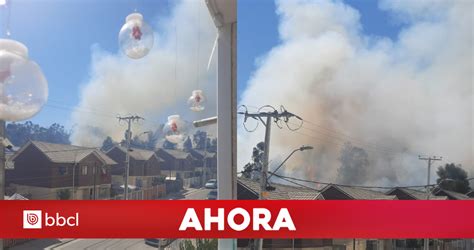 Declaran Alerta Roja Por Incendio Forestal En Villa Alemana Fuego Se