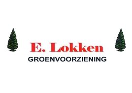 Lokken Groenvoorziening Vvbk Stadskanaal