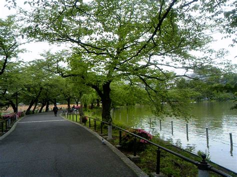 Human Environment Interaction Tokyo Japan