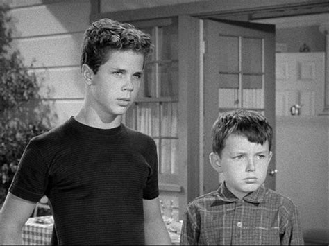 Wally And The Beaver Leave It To Beaver Tony Dow Father Knows Best