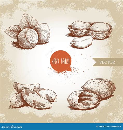 Peanuts Food Objects Cartoon Illustration 38330030