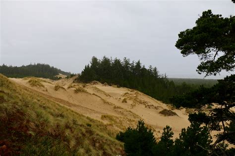 Oregon Dunes | Spinning Compass