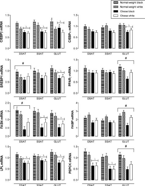 Expression Of Adipogenic And Lipogenic Genes In Abdominal Dsat Ssat