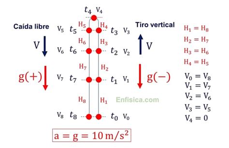 CAÍDA LIBRE Y TIRO VERTICAL en Física COMPLETO