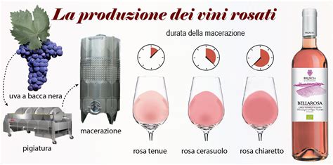 Vinificazione In Rosato Bruscia Vino Biologico Marche Cantina