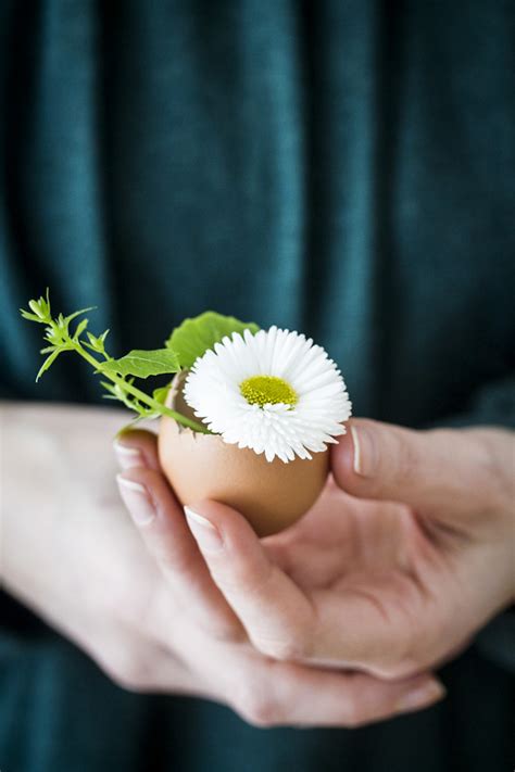 Pasqua Alternativa In Casa Come Renderla Gustosa E Colorata Le Strade