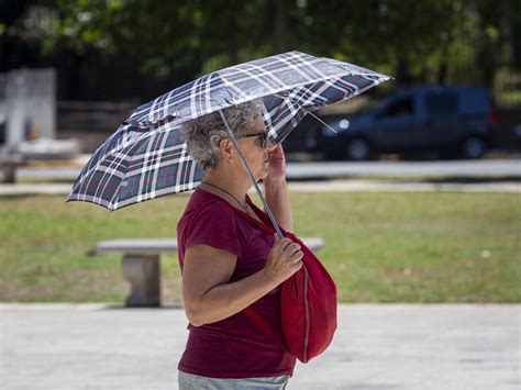 Recomiendan Medidas Preventivas Para Evitar Golpes De Calor Diario Sur