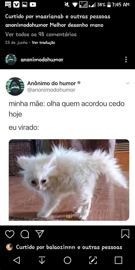 Pin de aleatoriamente aleatório em sophie Piadas memes Meme