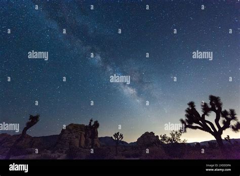 Impression Of The Night Sky On A Quiet Summer Evening In Joshua Tree