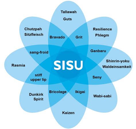 What is Sisu?