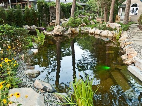 images  ponds  pinterest backyard ponds  pond