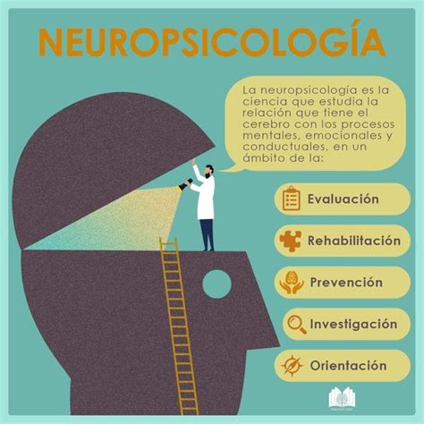 Infografías NeuroClass Temas de psicologia Neurociencia y