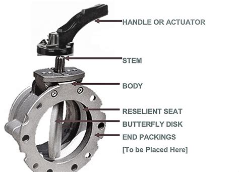 Butterfly Valve Line Diagram Butterfly Nibco