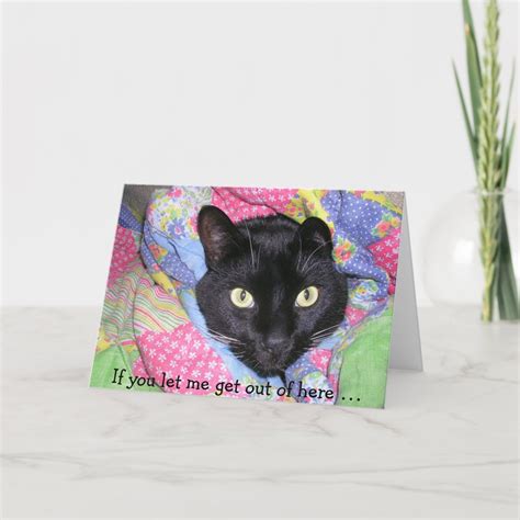 Funny Birthday Card Wrapped Black Cat Card Zazzle