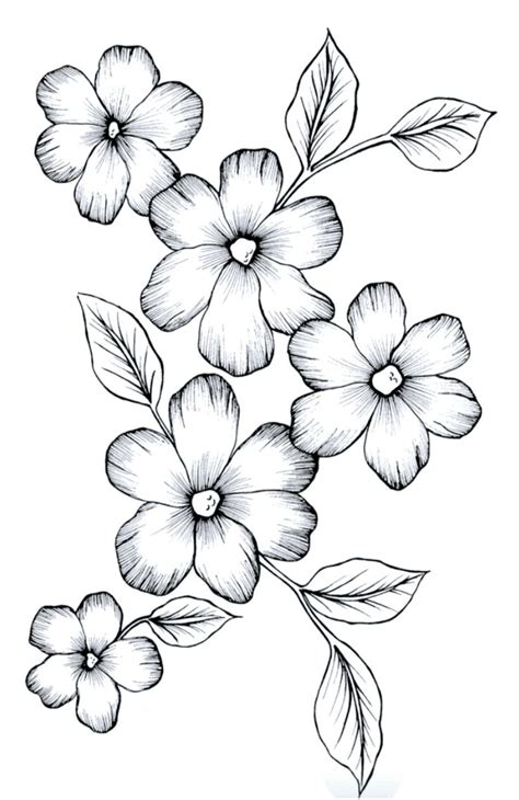 A Drawing Of Flowers With Leaves On It