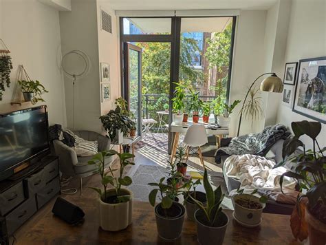 My cozy living room plants enjoying a warm Fall day in Brooklyn : r ...