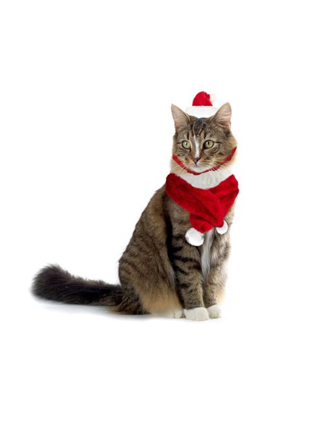 Set Sciarpa E Cappello BABBO NATALE 064234 Per Gatti E Cani Di Piccola