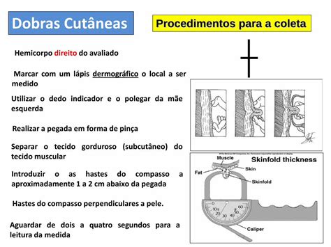 Pdf Aula Perimetria Dobras Cut Neas E Protocolos Perimetria Do