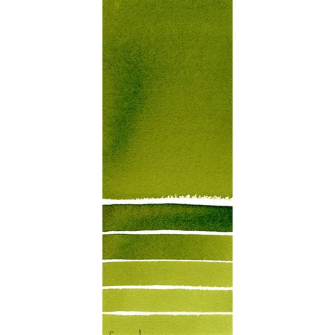 Sap Green Watercolor Half Pan Daniel Smith Artists Materials