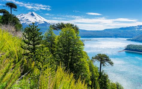 Trekking por el Parque Nacional Conguillío - Tours en Latinoamérica