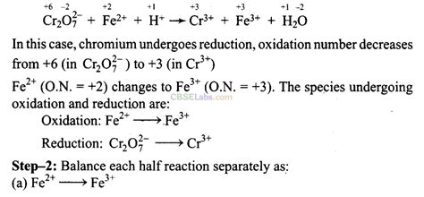 NCERT Exemplar Class 11 Chemistry Chapter 8 Redox Reactions NCERT Library