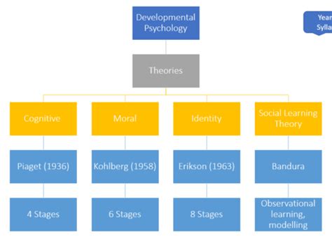 Developmental Psychology Piaget Flashcards Quizlet