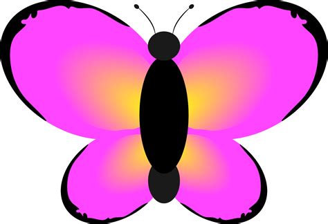 15+ Vector BUTTERFLIES Transparent .PNG and .SVG File | FREE to ...