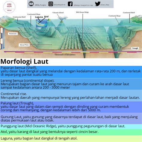 Gambar Zona Laut Berdasarkan Kedalamannya A Zona Litoral Atau Zona