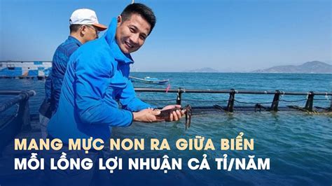 Cách nuôi lạ Mang mực non ra giữa biển mỗi lồng lợi nhuận cả tỉ năm