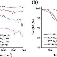 UV Vis Spectra Of PAA Fe3O4 NPs PVA Fe3O4 NPs And PEI Fe3O4 NPs