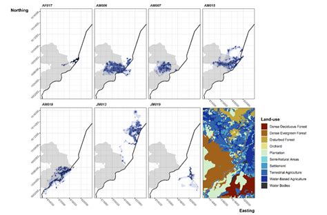 Dynamic Brownian Bridge Movement Model Estimates Of Utilisation