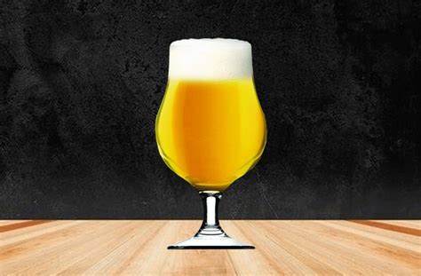 Belgian Blond Ale Ficha de características 2023