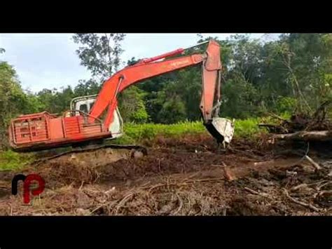 Cara Excavator Land Clearng Di Dalam Hutan Youtube