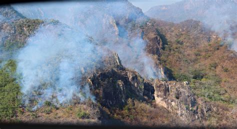 Reporta Sebides Incendios Forestales Los Cuales Afectaron M S De