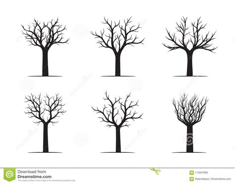 Set Of Naked Trees On White Background Vector Illustration And Concept Pictogram Royalty Free