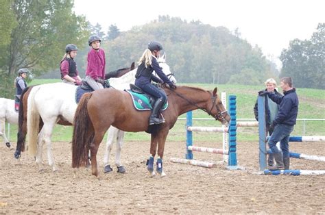 Dressur Und Springlehrgang Mit Andreas Brandt In Marlow MV Sport De