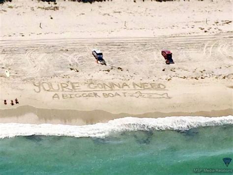 Great White Shark Alert Yesterday Off Duxbury Beach Beachgoers Left