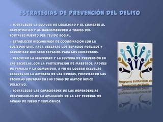 Prevenci N Del Delito Ppt