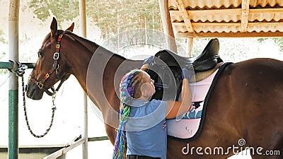 Horse Care. Horsewoman Harnesses Bay Horse, Prepares Palfrey for ...