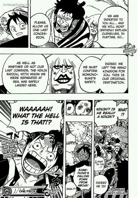 One Piece: Zou Arc (Manga) Chapter 803 | Anime Amino