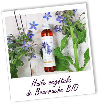 Huile De Bourrache BIO Bienfaits Et Utilisations Aroma Zone