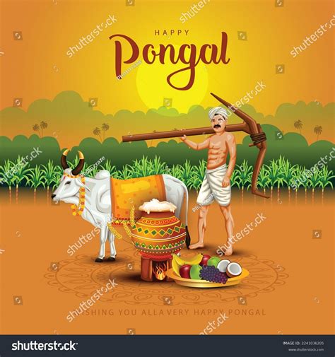 Pongal Festival Photos, Images & Pictures | Shutterstock