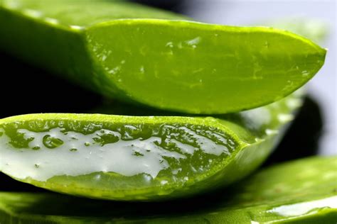 Masque Visage à l Aloe Vera Stop aux Problèmes de Peau