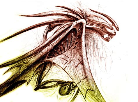 dragon body drawing  getdrawings